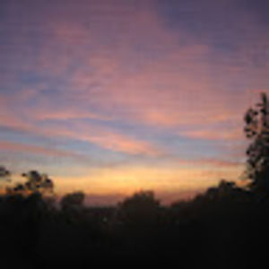 Meet your Posher, Stuart